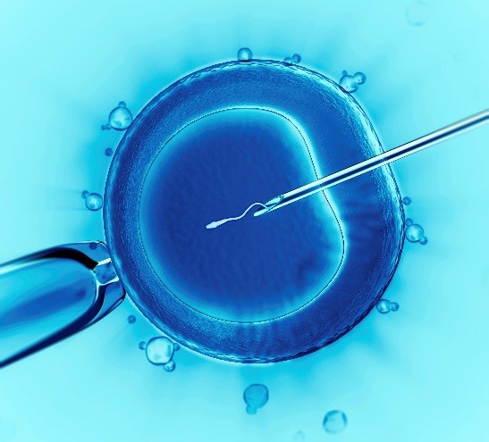 Best IVF Treatment in Jaipur